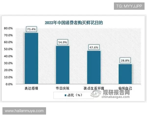杭州排球队耐力表现数据分析揭示训练效果与运动员潜力的深度关系